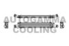 AUTOGAMMA 105209 Intercooler, charger